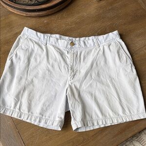 Mens Izod Saltwater Shorts Light Blue